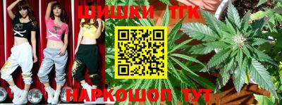 индика Пыть-Ях