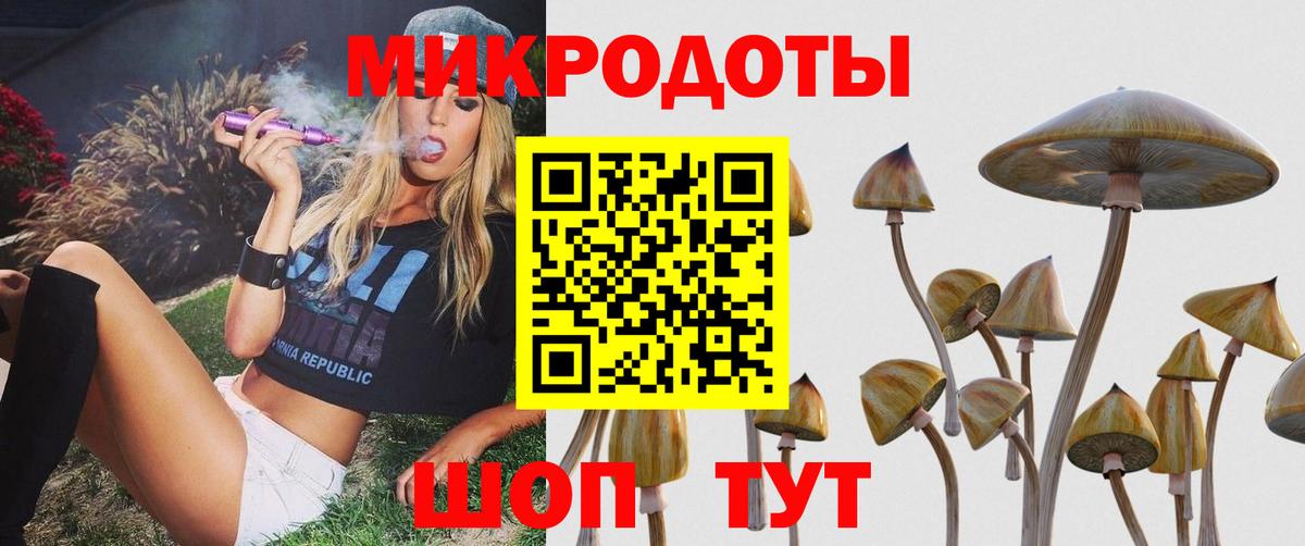 Псилоцибиновые грибы прущие грибы Полевской